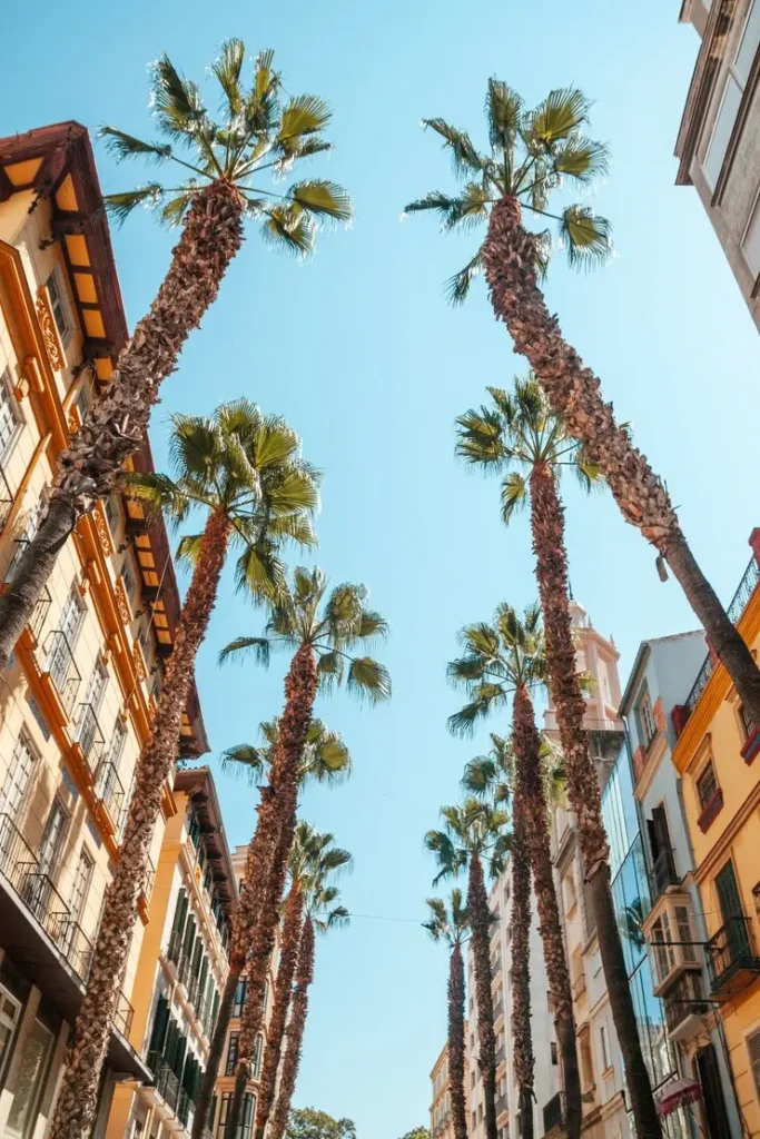 Vista de Palma